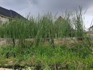 650sqm Of Land For Sale At Happyland Estate Ajah 650 Meter Square of Land for Sale Ajah Lagos Vetra  Property
