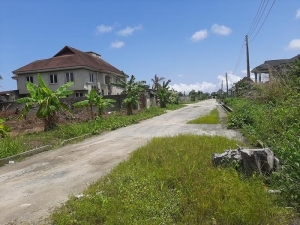 Image 1 Title