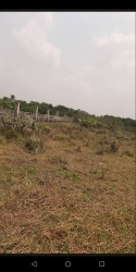 Land For Sale Ln Asaba Delta State Land for Sale Asaba Delta Vetra  Property