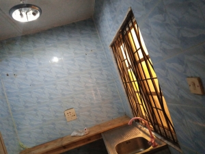 Image 1 Title