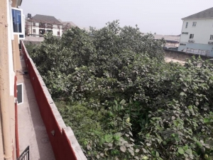 Image 1 Title