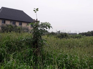 Full Plot Of Land By Elemu Bus Stop (6.5m Net) 1 Plot of Land for Sale Isolo Lagos Vetra  Property
