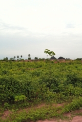 2.99 Hcts Of Land For Sale At Matiama Extension. Land for Sale Maitama Abuja Vetra  Property