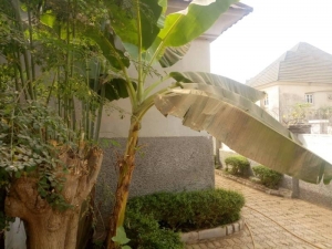 Image 1 Title