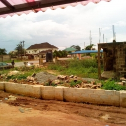 Image 1 Title