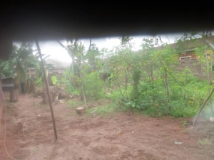 Image 1 Title