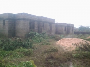 Image 1 Title