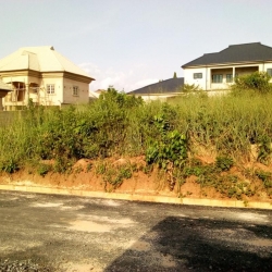 100 By 100 On A Newly Tired Road At Ebo Gra Off Airport Road  Land for Sale Oredo Edo Vetra  Property