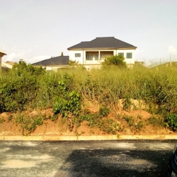 Image 1 Title