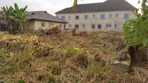 100 By 100 Land For Sale Along The Tired Road In Ogunwunyi Off Ugbor Gra Land for Sale Oredo Edo Vetra  Property