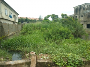 Image 1 Title