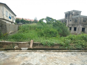 Image 1 Title