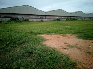 Image 1 Title