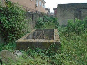 Image 1 Title