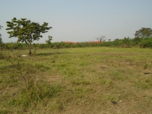 Image 1 Title