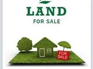Ripe 7000m2 And 4600m2 Land Land for Sale Ikoyi Lagos Vetra  Property