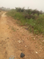 Image 1 Title