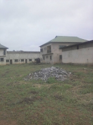 Image 1 Title