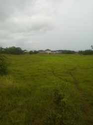 Image 1 Title