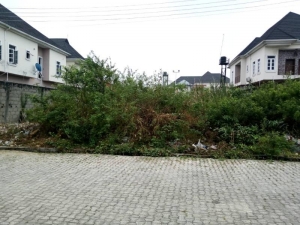 735sqm Premium Vacant Land Plot With C Of O 735 Meter Square of Land for Sale Lekki Lagos Vetra  Property