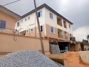 Newly Built Miniflat At Shomolu For Leases For 15years Mini Flat for Rent Yaba Lagos Vetra  Property