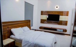 Tastefully Finished And Furnished 2bedroom Flat  2 bedroom Flat for Short let Lekki Lagos Vetra  Property