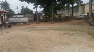 Image 1 Title