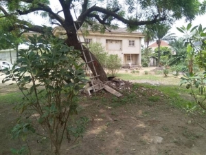 Image 1 Title