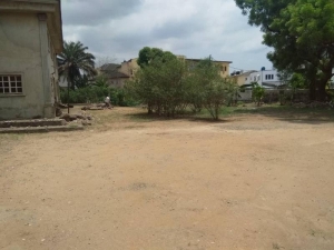 Image 1 Title