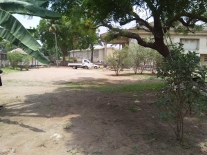 Image 1 Title