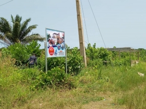 Image 1 Title