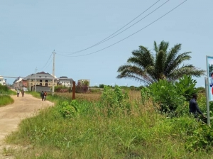 Image 1 Title