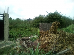 700 Sqm Of Land With C Of O 700 Meter Square of Land for Sale Ajah Lagos Vetra  Property