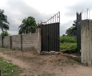 2 Plots Of Land 2 Plots of Land for Sale Owerri Imo Vetra  Property