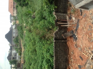 Image 1 Title