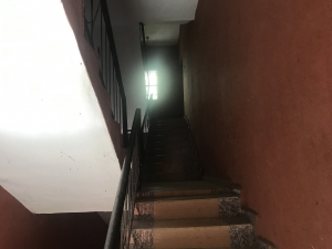 Image 1 Title
