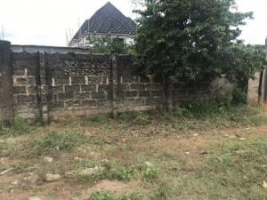 Image 1 Title