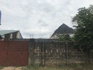 Image 1 Title