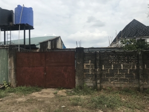 Image 1 Title