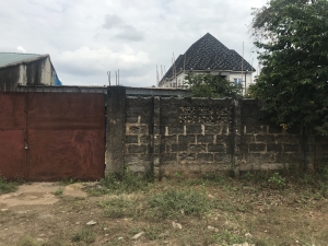 Image 1 Title