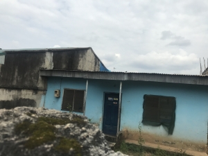 Image 1 Title