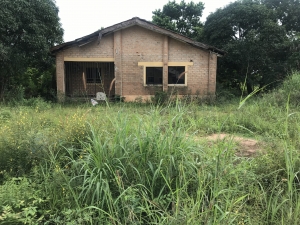 Image 1 Title