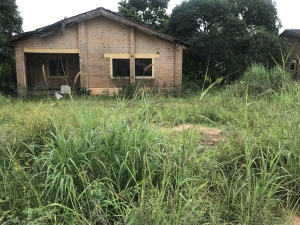 Image 1 Title