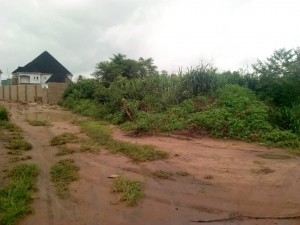 Plots Of Lands At Hilltop Estate By Onitsha Road Land for Sale Owerri Imo Vetra  Property