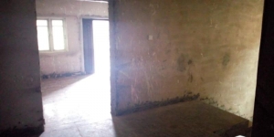 Image 1 Title