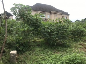Image 1 Title