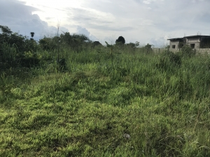 Image 1 Title