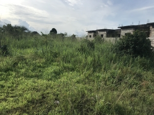 Image 1 Title