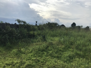 Image 1 Title