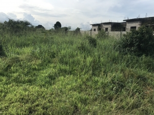 Image 1 Title